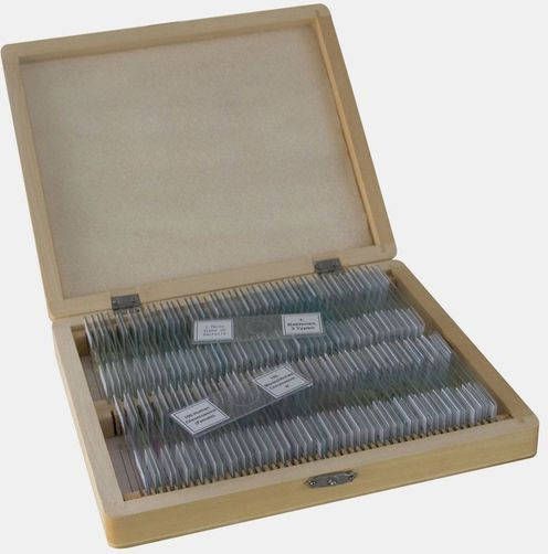 Bresser Microscoop Preparaten 100 Stuks Assortiment