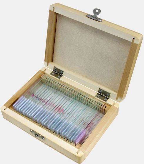 Bresser Microscoop Preparaten 30 Stuks, Histologie Assortiment