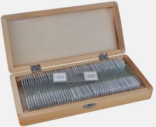 Bresser Microscoop Preparaten 50 Stuks Assortiment